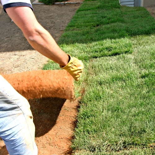 Landscaping in DFW Landscaping in DFW