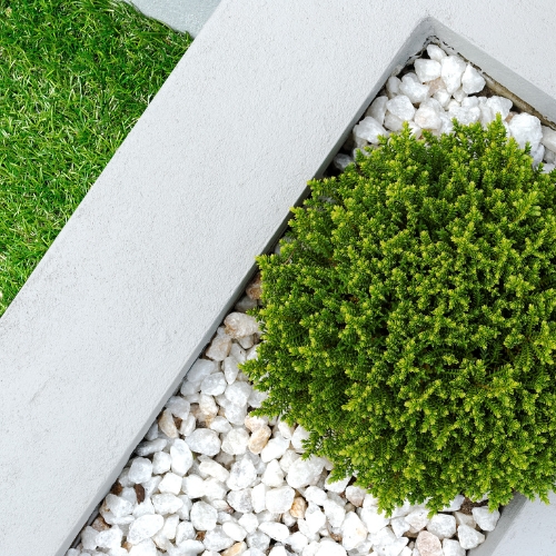 Landscaping in DFW Landscaping in DFW