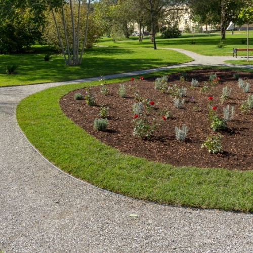 Landscaping in DFW Landscaping in DFW